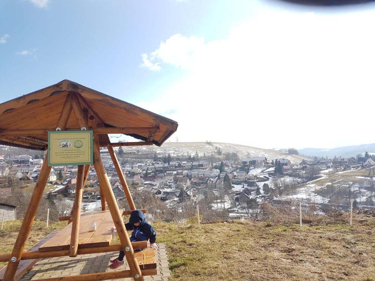Unik Villa Sankt Andreasberg Esterno foto