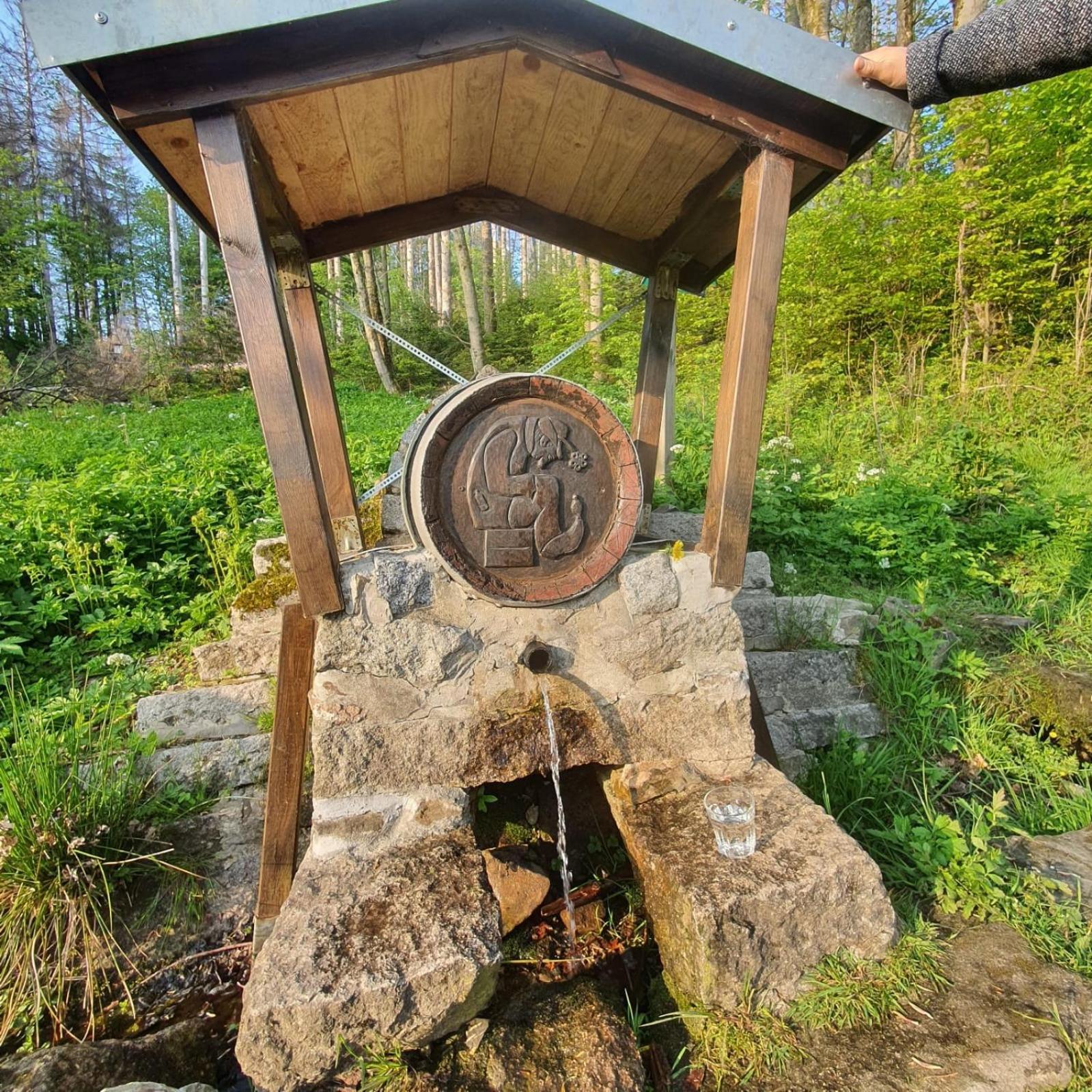 Unik Villa Sankt Andreasberg Esterno foto